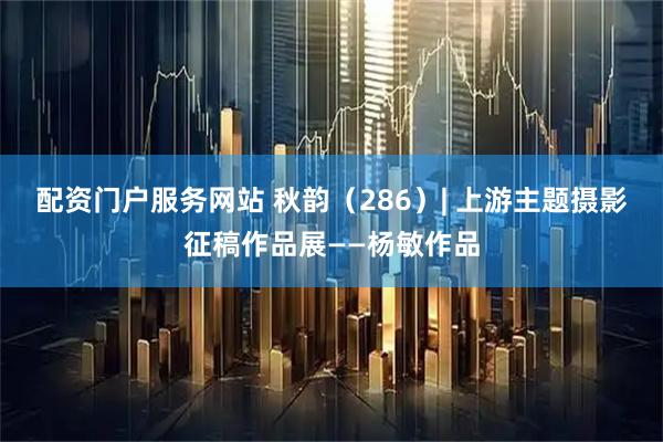 配资门户服务网站 秋韵（286）| 上游主题摄影征稿作品展——杨敏作品