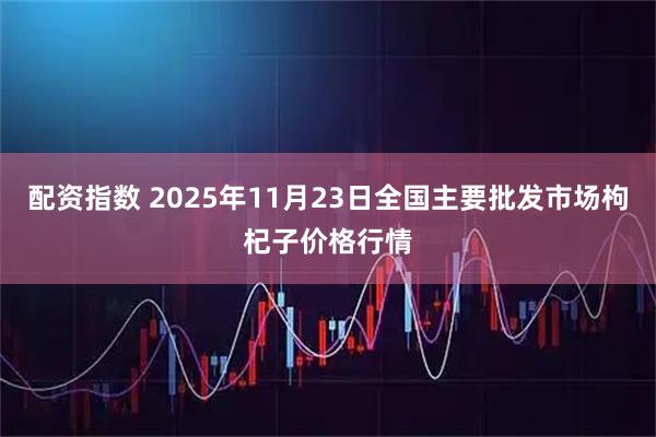 配资指数 2025年11月23日全国主要批发市场枸杞子价格行情