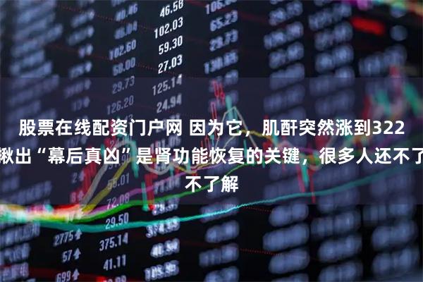 股票在线配资门户网 因为它，肌酐突然涨到322！揪出“幕后真凶”是肾功能恢复的关键，很多人还不了解