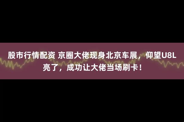 股市行情配资 京圈大佬现身北京车展，仰望U8L亮了，成功让大佬当场刷卡！
